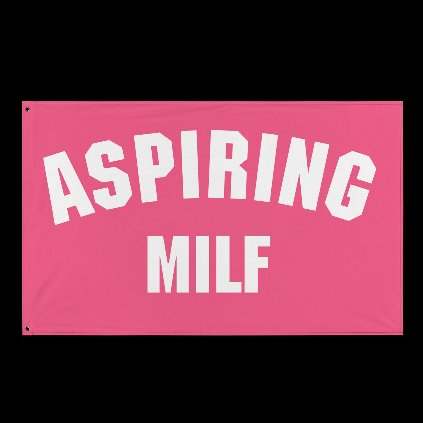 ASPIRING MILF - DIRTY FLAG